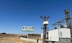 Diyarbakır’da Anka Lidaş ve Yıldırım Agro’dan 970 tonluk mısır vurgunu iddiası
