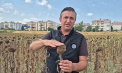 Kendilerine kepçeyle, çiftçiye çay kaşığıyla: Trakya Birlik’e tepki büyüyor