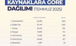 Türkiye’nin elektrik kurulu gücü 120 bin megavatı aştı