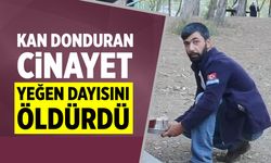 Çankırı’da kan donduran cinayet: Yeğen, dayısını öldürdü