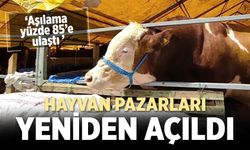 Çankırı’da hayvan pazarları yeniden açıldı
