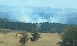 Çankırı’nın Ilgaz ilçesinde orman yangını