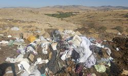 İğdir Ovasında yol kenarları çöplüğe döndü