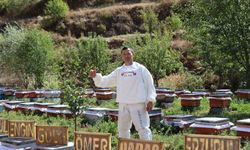 Arılarına yazmayı öğretti
