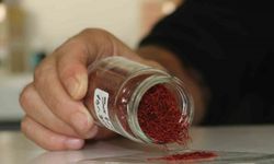 Kilosu 250 bin liradan satılan safranın mısır püskülünden sahtesini yaptılar