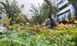 Kuraklıkla mücadele eden İzmir’de yağmur serinliği