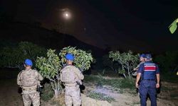 Kuyucak’ta jandarmadan incir nöbeti