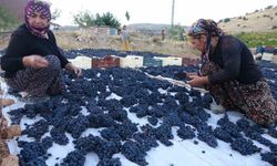 Malatya’da kilosu 500 TL’den alıcı bulan kuru üzüm yüz güldürüyor