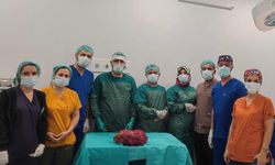Mardin’de 6 kiloluk böbrek, ameliyatla alındı