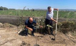 Orman yangınlarında kaybedilen her ağaç yerine 10 fidan