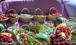 Uluslararası Çubuk Turşu ve Kültür Festivali başladı