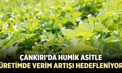 Çankırı’da humik asitle üretimde verim artışı hedefleniyor