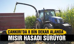 Çankırı’da 8 bin dekar alanda mısır hasadı sürüyor