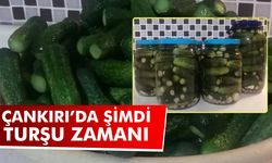 Çankırı’da şimdi turşu zamanı