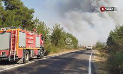 Karabük’teki orman yangını Çankırı sınırına ilerliyor
