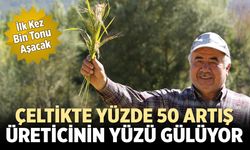 Çankırı'da su kıtlığı ve sıcak hava çeltikte rekor getirdi