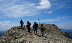Ilgaz Dağı zirvesinde deniz fosilleri bulundu