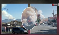 Çankırı'da orman yangını çıktı! Havadan karadan müdahale ediliyor