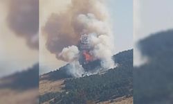 Çankırı’da orman yangını kontrol altına alındı
