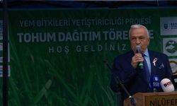 Bursa’da büyükbaşlar İtalyan çimi ile beslenecek