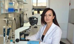 ’Candida auris’e karşı Türkiye’nin en kapsamlı araştırması tamamlandı
