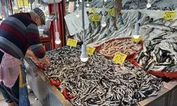 Karabük’te balık tezgahlarında hamsi bolluğu: Kilosu 100 TL’ye kadar düştü