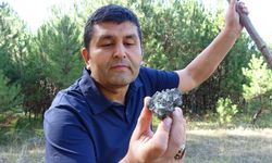 Mantar toplarken göktaşı buldu