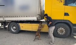 Tosya’da tıra zulalanmış uyuşturucu ele geçirildi: 1 tutuklama