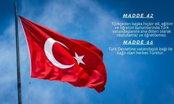 Türk Eğitim-Sen Genel Başkanı Geylan: "Böylesi bir ihanete aziz milletimiz müsaade etmeyecektir"