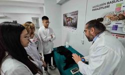 Türkiye’de bir ilk: Meslek yüksekokulunda veteriner sağlık eğitimi simülatörlerle veriliyor