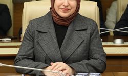 Türkiye’nin doğal miraslarını ilgilendiren kanun teklifi Meclis Başkanlığı’na sunuldu