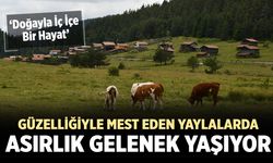 Çankırı Sınırındaki yaylalarda Asırlık Yayla Geleneği Yaşıyor!