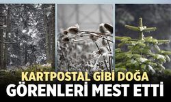Ilgaz Dağı’nda kar yağışı sonrası ortaya mest eden görüntüler çıktı