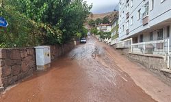 Papatya Sokak’ta selin yaraları haftalar sonra sarıldı
