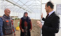 Vali Taşolar Seralarda Üreticilerle Buluştu