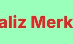 Veriyi Anlamlandırmanın En Kolay Yolu: SPSS Analizi ile Bilimsel Güven
