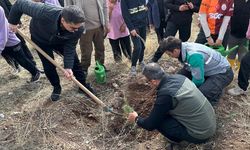 Yapraklı’da Cumhuriyetin 102. Yılına 102 Fidan
