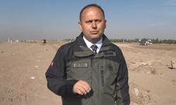 11 Kasım Milli Ağaçlandırma Günü için hazırlıklar sürüyor: Ankara’da 423 bin fidan toprakla buluşacak