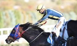 45. Cumhuriyet Koşusu ile 87. Cumhurbaşkanlığı Koşusu yapıldı