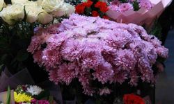 Başkent'te Öğretmenler Günü kasımpatıyla kutlanıyor