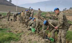 Bolu’da komandolar yeşil vatanda geleceğe nefes oldu