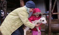 Bolu’da yaylalardan köylere göç başladı