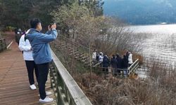 Bolu'nun doğa harikası Abant Gölü'ne ziyaretçi akını