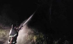 Kastamonu'da çıkan orman yangını söndürüldü