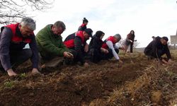 Kastamonu’da kadınlara güç veren proje: 38 bin fide dağıtımı yapıldı