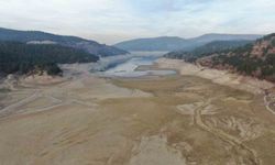 Kastamonu'nun su ihtiyacını karşılayan baraj gölünün büyük kısmı kurudu