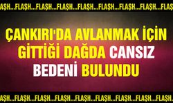 Çankırı'da avlanmak için gittiği dağda cansız bedeni bulundu