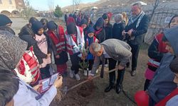 Çankırı'da “Türkiye Yeşeriyor, Gazze Güçleniyor” Temalı Fidan Dikim Etkinliği