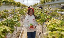 Çankırı’da Minik Eller Tarımla Buluştu