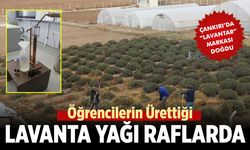 Çankırı’da Öğrencilerin Ürettiği Lavanta Yağı Raflarda